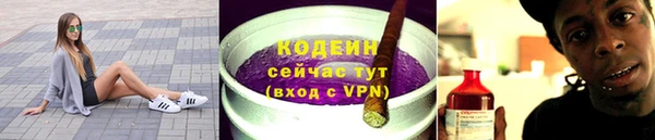 гашик Алзамай
