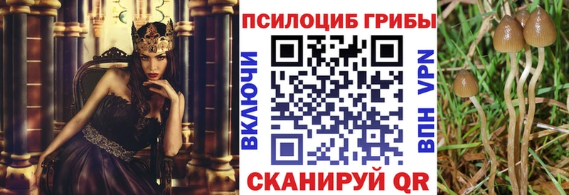 цены   OMG tor  Псилоцибиновые грибы ЛСД  Жирновск 